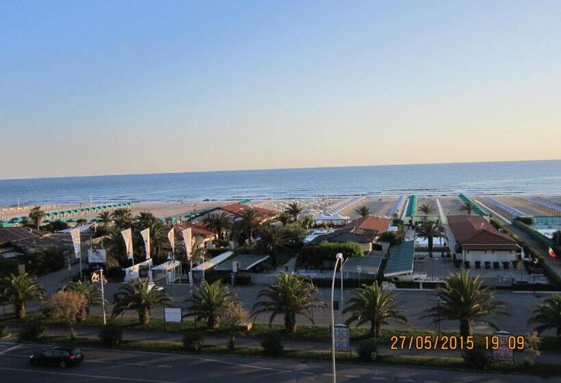 غرفة قياسية فردية, Oceano