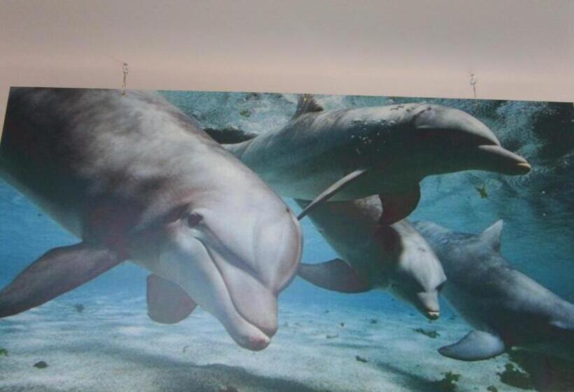 غرفة قياسية مطلّة علي البحر, Oceano