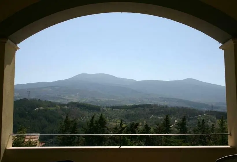 エクゼクティブルーム, Terre D'orcia