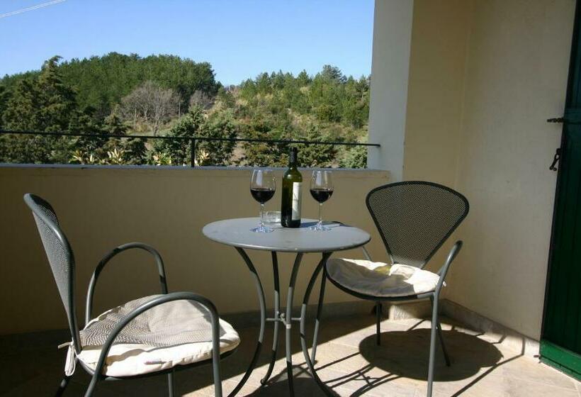 חדר אקזקיוטיב, Terre D'orcia