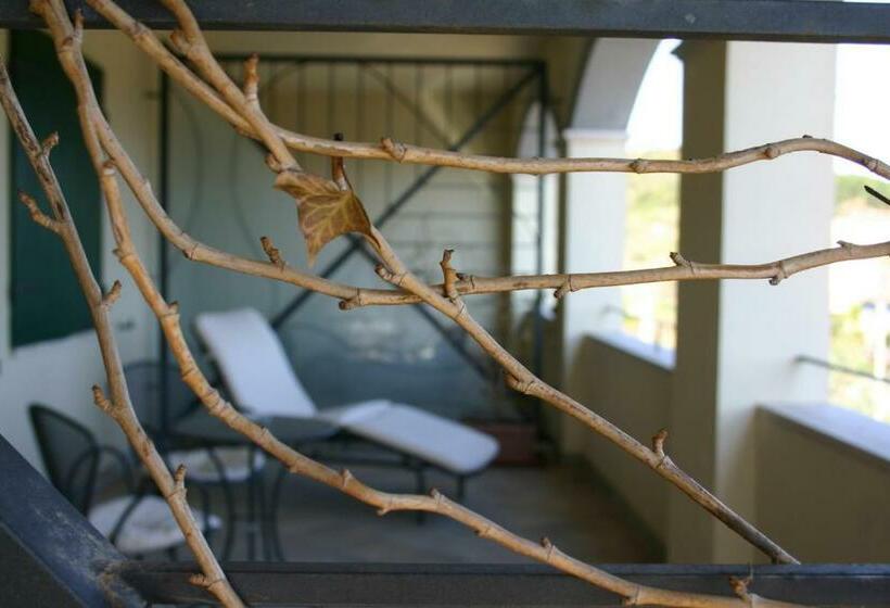 חדר אקזקיוטיב, Terre D'orcia