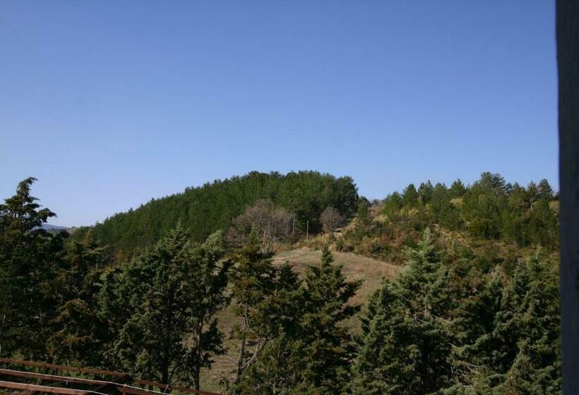 חדר אקזקיוטיב, Terre D'orcia