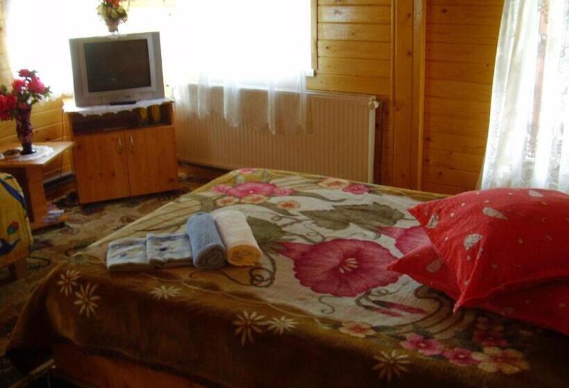 חדר סטנדרט עם מרפסת, Pension Bran Ioana