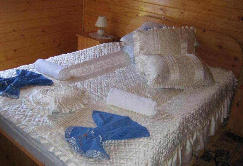 חדר סטנדרט עם מרפסת, Pension Bran Ioana