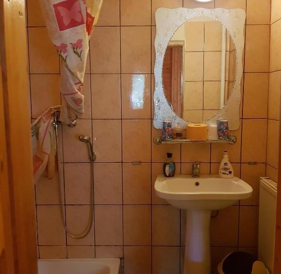 חדר סטנדרט עם מרפסת, Pension Bran Ioana