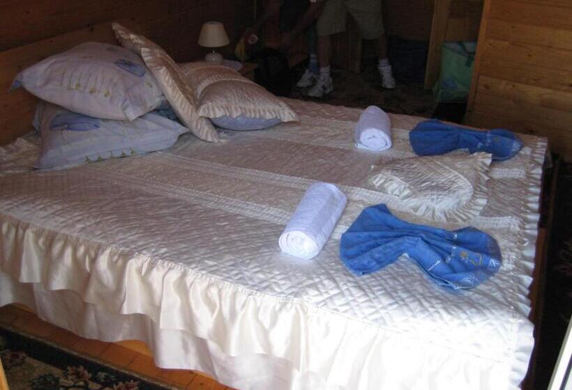 חדר משפחתי, Pension Bran Ioana