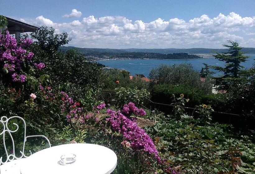 Triple Room Sea View, Apartments & Rooms Karmen