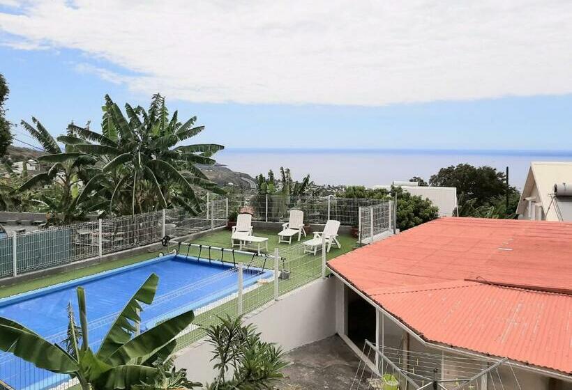 استودیوی استاندارد, L Auberge Du Pave