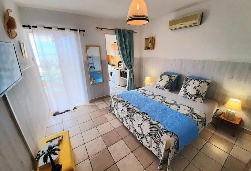 استودیوی استاندارد, L Auberge Du Pave