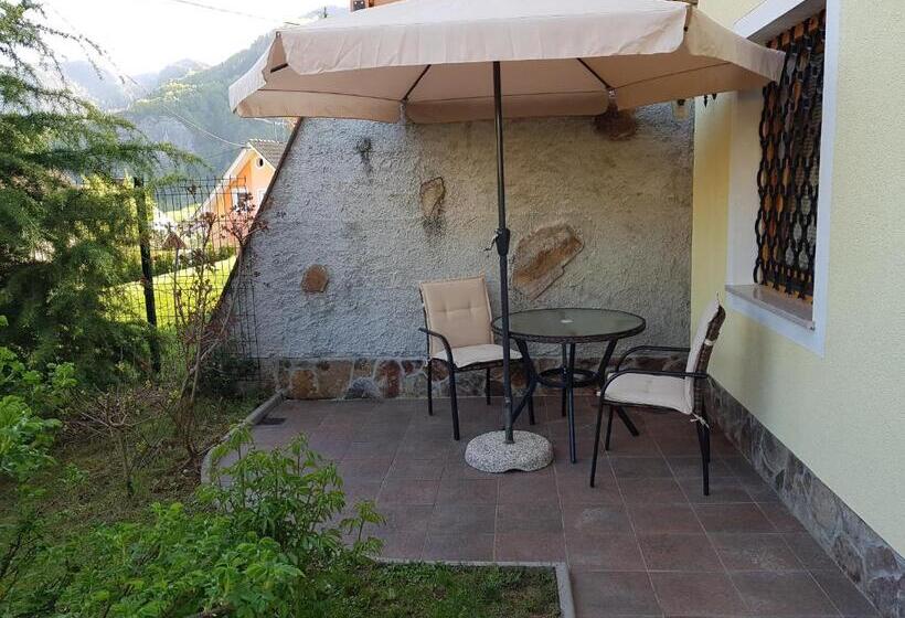 استودیو استاندارد با تراس, Pr Bevc