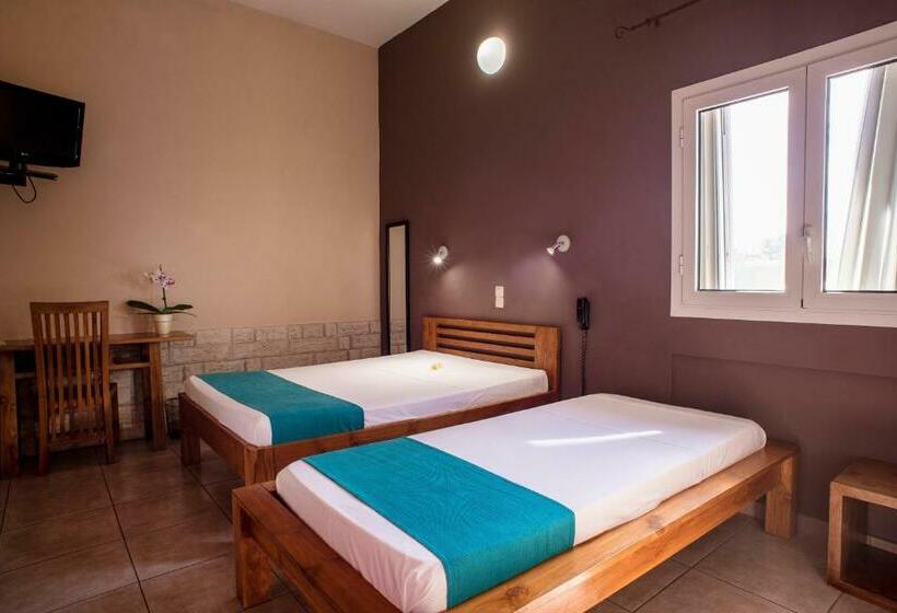 اتاق خانوادگی, Cap Sud