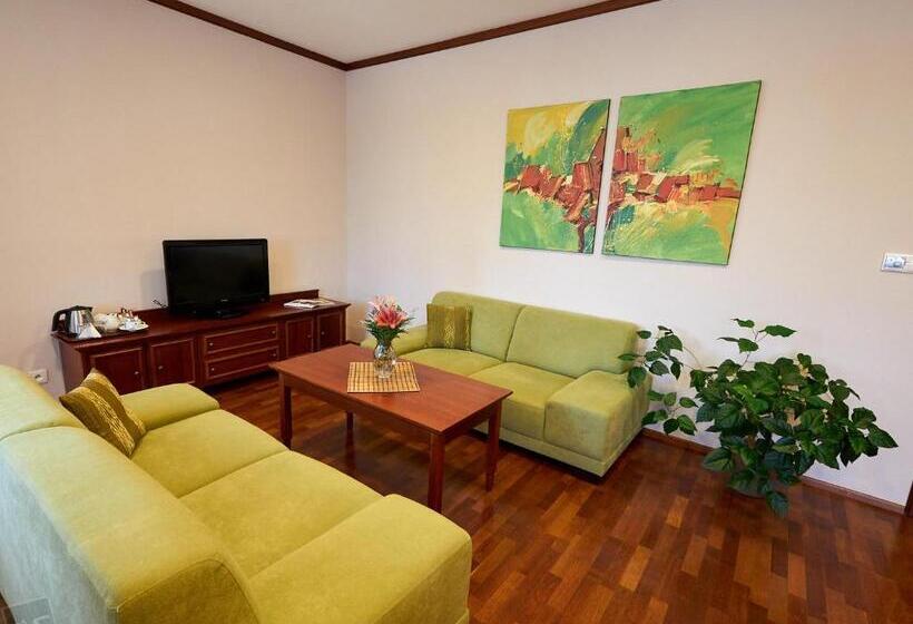 Апартаменты 1 Спальня Вид на Сад, Hradná Stráž Hotel&apartments S Privátnym Wellness