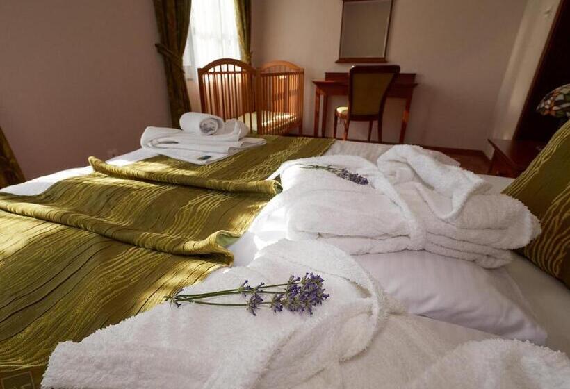 Апартаменты 1 Спальня Вид на Сад, Hradná Stráž Hotel&apartments S Privátnym Wellness