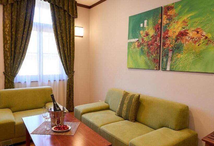 Апартаменты 1 Спальня, Hradná Stráž Hotel&apartments S Privátnym Wellness