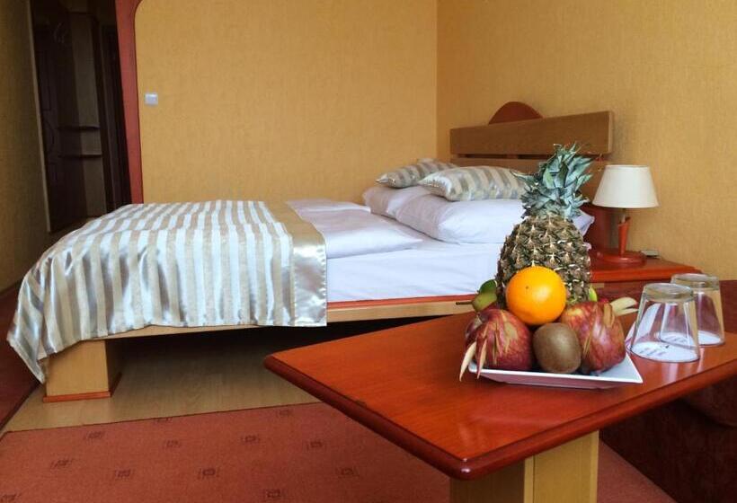 浪漫感的房间, Kormorán