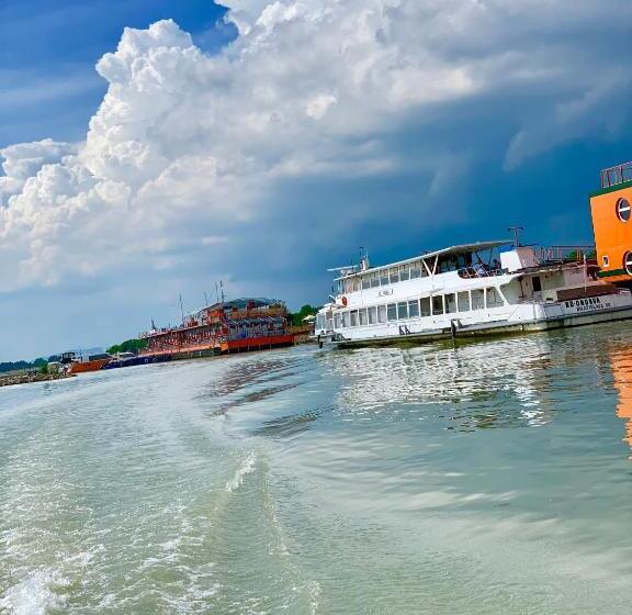 浪漫感的房间, Kormorán