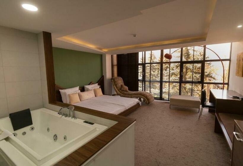 سوییت جونیور با چشم‌انداز دریاچه, Radika