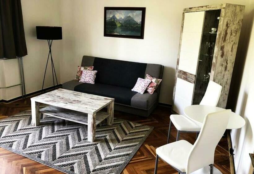 شقة غرفة واحدة, Sasanka