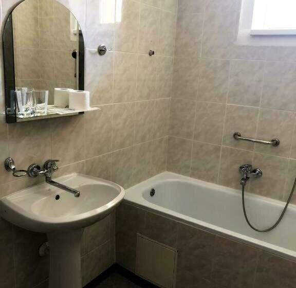 شقة غرفة واحدة, Sasanka