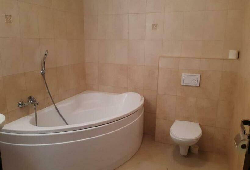 스탠다드 룸, Motel Senec