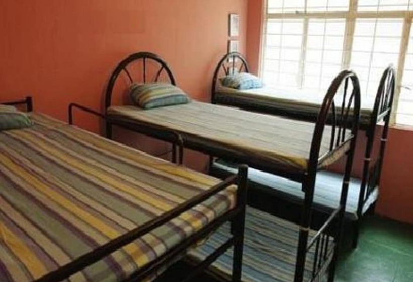 سرير فى غرفة مشتركه, B&b Inn   Hostel