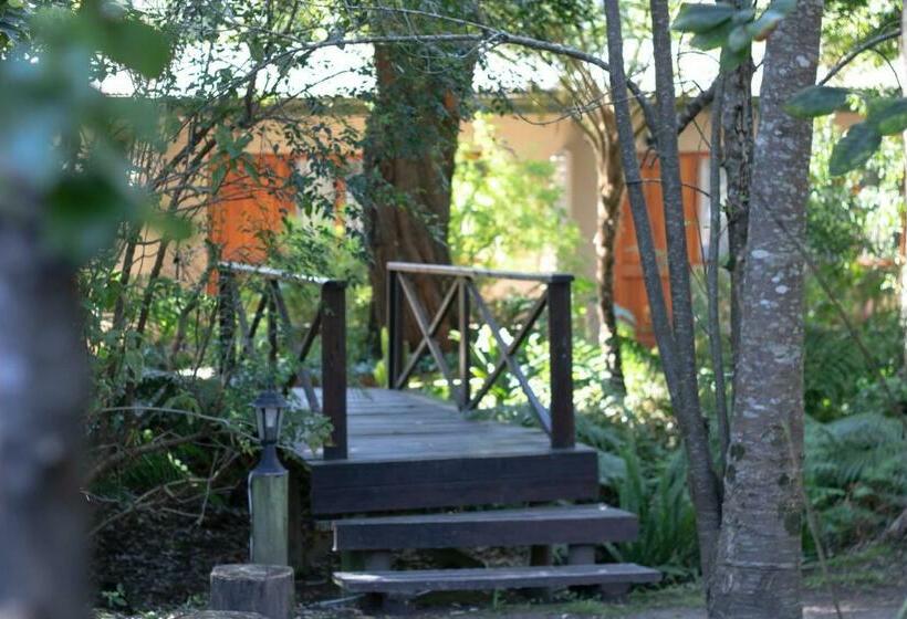 ガーデンビュースタンダードルーム, Andelomi Forest Lodge