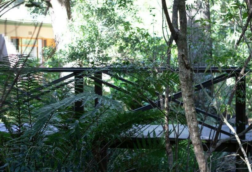 ガーデンビュースタンダードルーム, Andelomi Forest Lodge