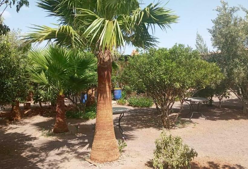 اتاق استاندارد چهارنفره با چشم‌انداز باغ, Auberge Bassou