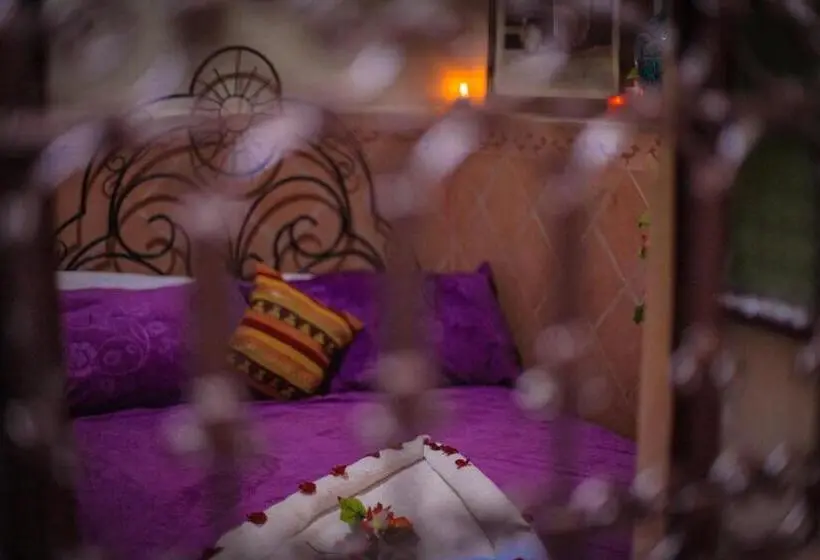 اتاق استاندارد سه نفره, Riad Douja