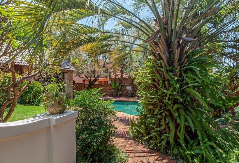 اتاق اکونومی, The Dorr Guesthouse