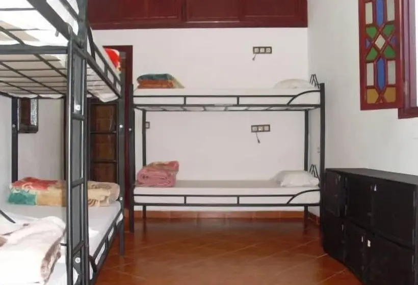 تختخواب در اتاق مشترک, The Medina Hostel