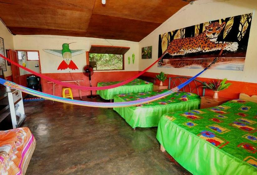 家庭间, Ecobiosfera