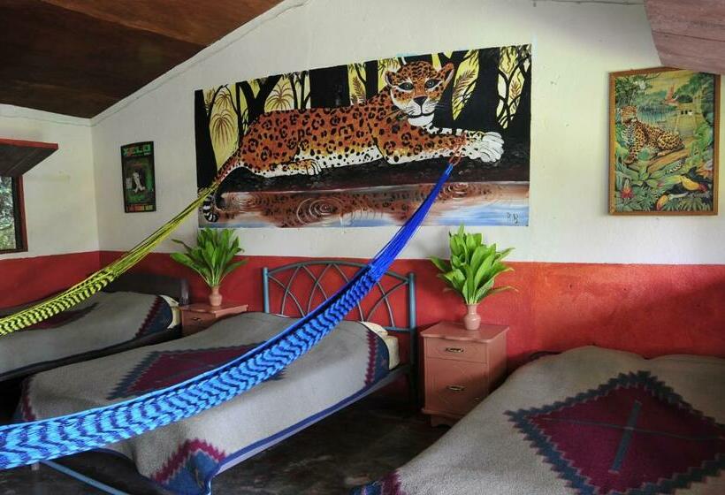 家庭间, Ecobiosfera