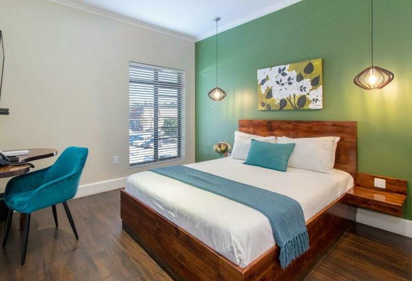 اتاق کلاسیک, Mypond Stenden