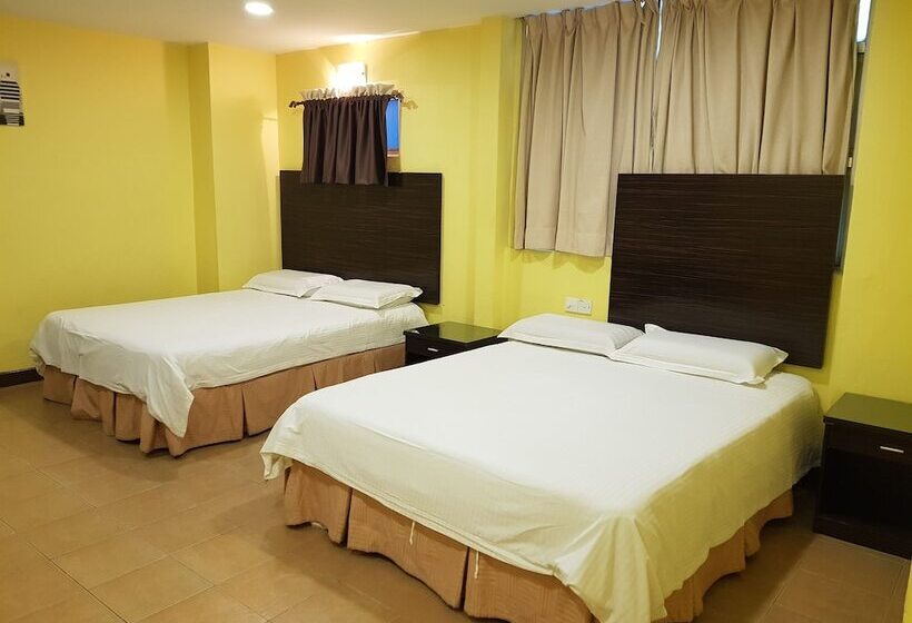 패밀리 룸, New City