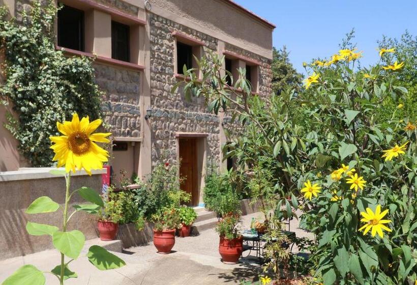Suite, Soleil Imlil