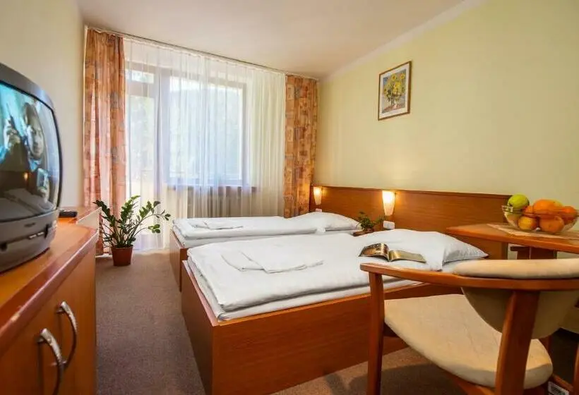 Standard-huone, Sorea Snp