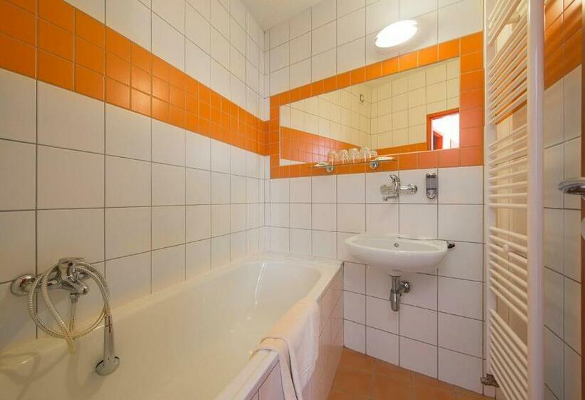 Номер Стандарт, Sorea Snp