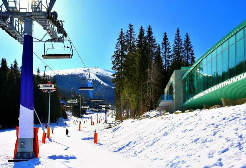 Номер Стандарт, Sorea Snp