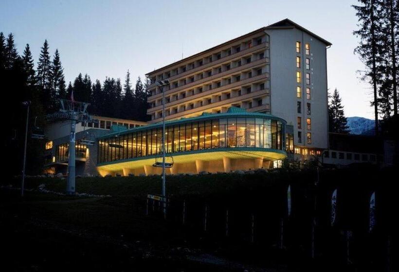 Номер Стандарт, Sorea Snp