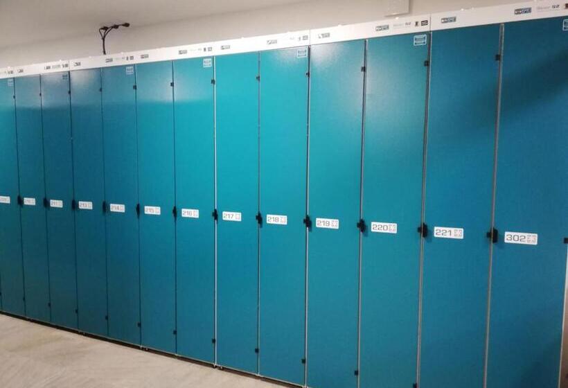 Номер Стандарт, Sorea Snp