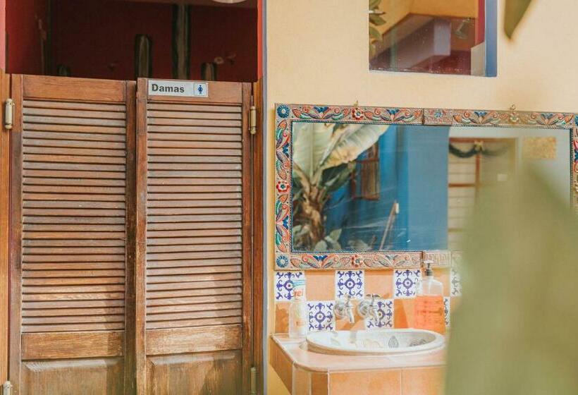 Кровать в Общей Комнате, Azul Cielo Hostel