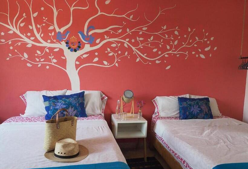 Номер Deluxe, Azul Cielo Hostel