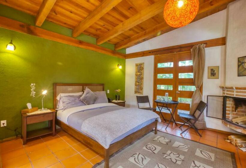 Camera Standard, La Joya Del Viento