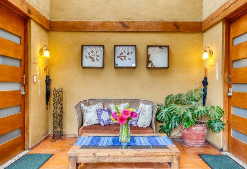 Camera Standard, La Joya Del Viento