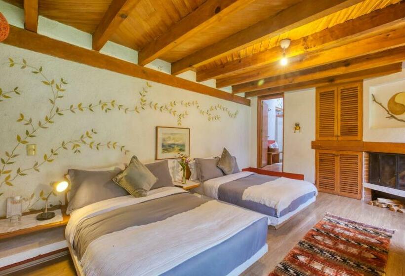 Camera Quadrupla Standard, La Joya Del Viento