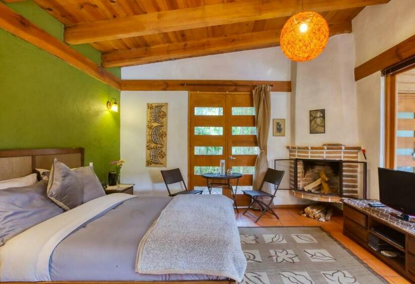 Camera Standard, La Joya Del Viento