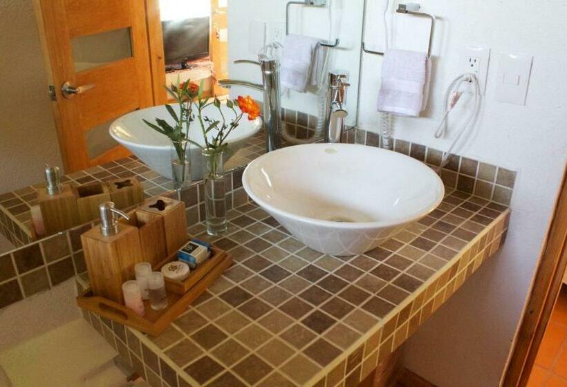 Camera Standard, La Joya Del Viento