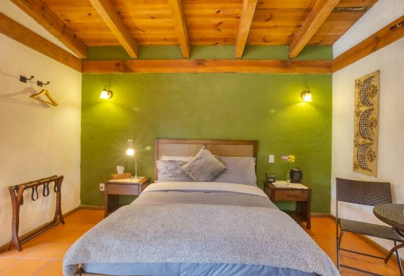 Camera Standard, La Joya Del Viento