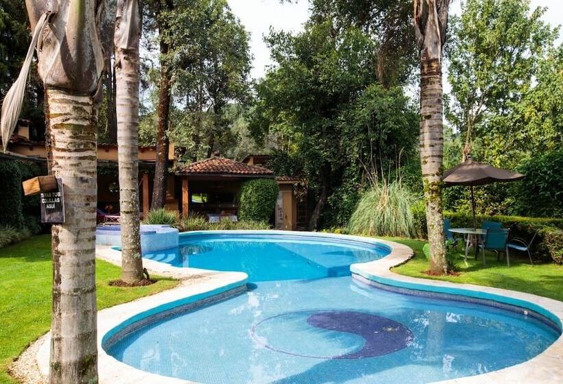 Camera Quadrupla Standard, La Joya Del Viento